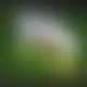 Zagraj Let It Ride z Playtech w {"id":82,"name":"Rabona","design":{"logo":"rabona-logo-HYTgm6.svg","favicon":"rabona-favicon-djnwxk.png","banner_poker":"rabona-poker-ySQ8IE.webp","banner_mobile":"rabona-mobile-228W2z.webp","block_bg_color":"#000","image_bg_color":"#333","banner_bg_color":"#18181b","block_text_color":"#ffffff","primary_bg_color":"#0f172a","banner_text_color":"#fff","footer_logos_type":"white","block_round_radius":"0","primary_text_color":"#ffffff","button_round_radius":"0.125rem","banner_welcome_bonus":"rabona-welcome-bonus-494ZS8.webp","primary_button_bg_color":"#fde047","primary_button_text_color":"#0F172A","secondary_button_bg_color":"#f8fafc","secondary_button_text_color":"#0F172A"},"created_at":"2025-05-14T09:25:23.000000Z","updated_at":"2025-05-21T09:56:36.000000Z","deleted_at":null}